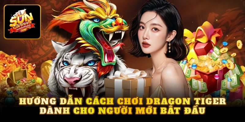 Hướng dẫn cách chơi Dragon Tiger dành cho người mới bắt đầu 