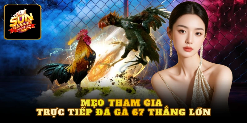 Mẹo tham gia trực tiếp đá gà 67 thắng lớn