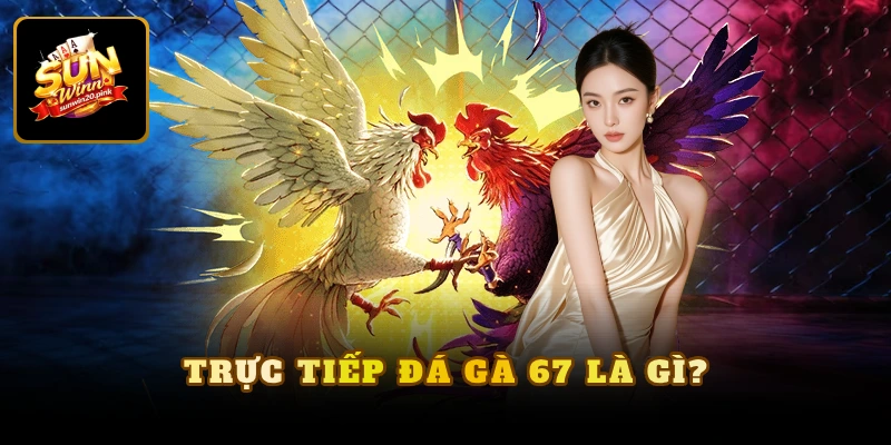 Trực tiếp đá gà 67 là gì?